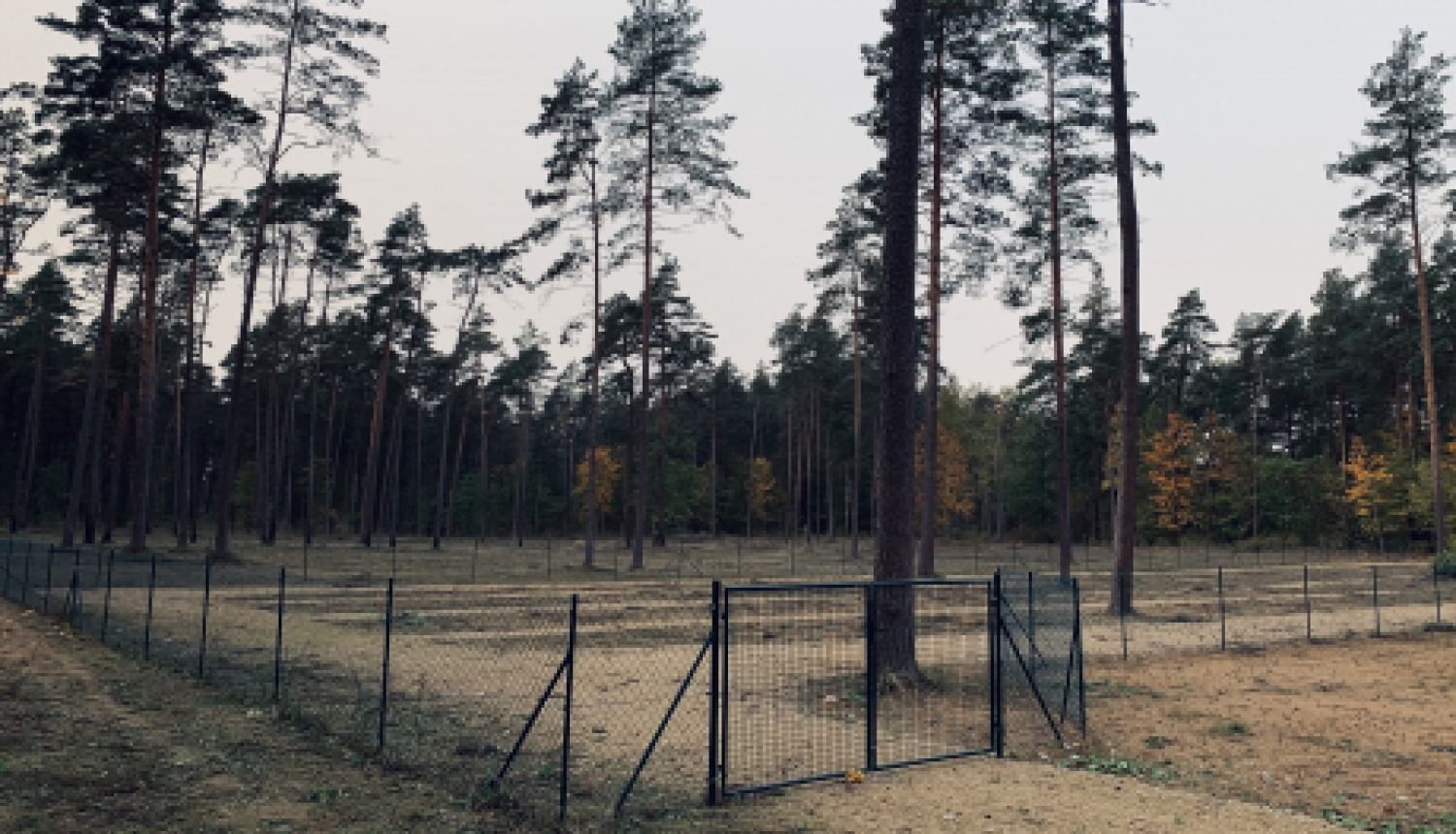 Jēkabpils dzīvnieku kapsēta no 1.oktobra uzsāk darbību