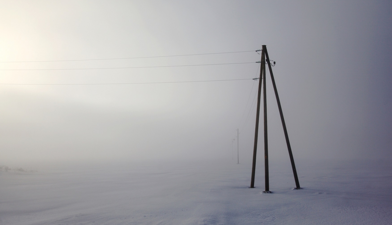 sadales tīkls - ilustratīvs foto